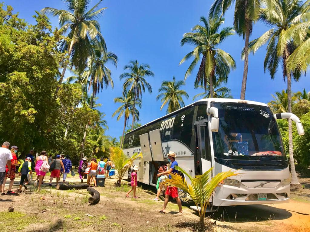 Autobús GL Tours entre palmeras